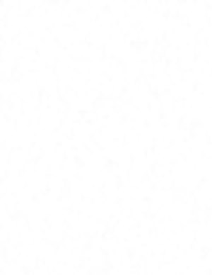 A1
